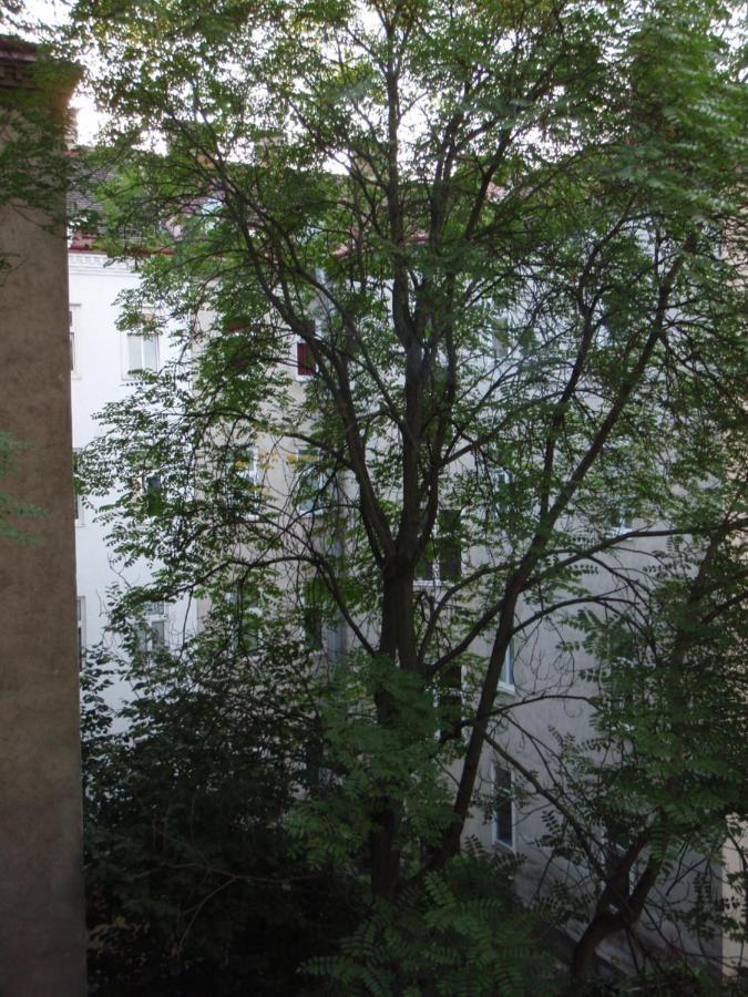 Augartenblick Penthaus 17 - Blick Zum Riesenrad Wien Eksteriør bilde